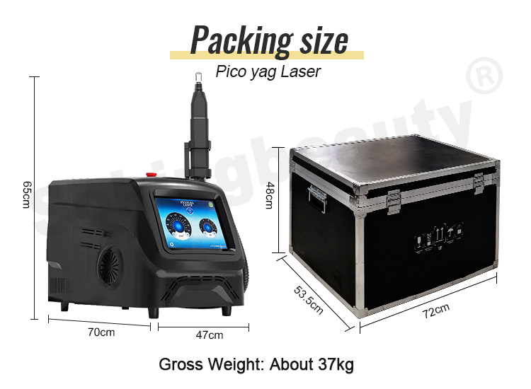 Picosecond Laser Machine price